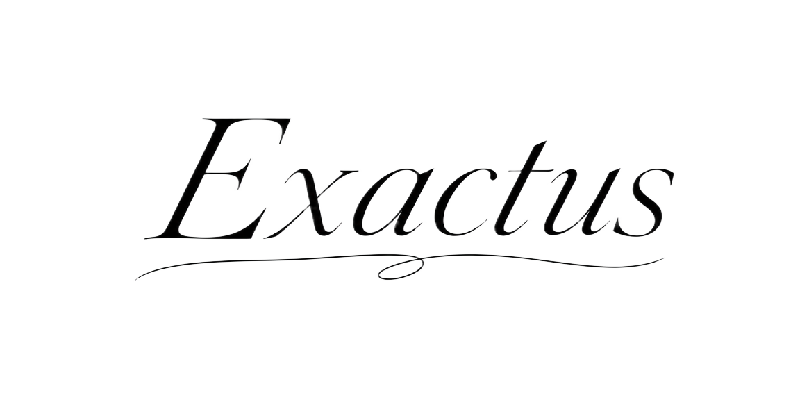 إكزاكتس logo